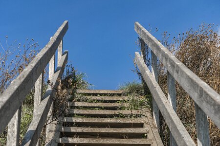 Nature architecture railing