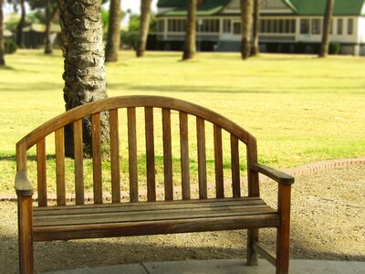 Wood leaf outdoors