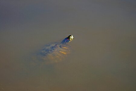 Sea sky outdoors photo