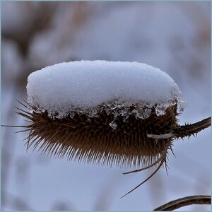 At the court of closeup snow
