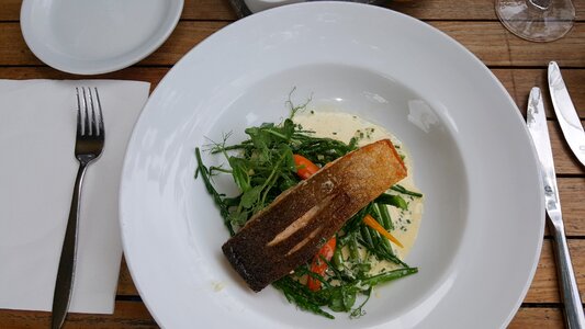 Meal dinner salmon dinner