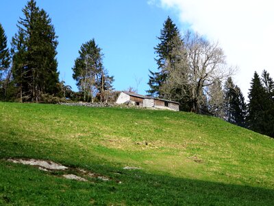 Landscape nature stall