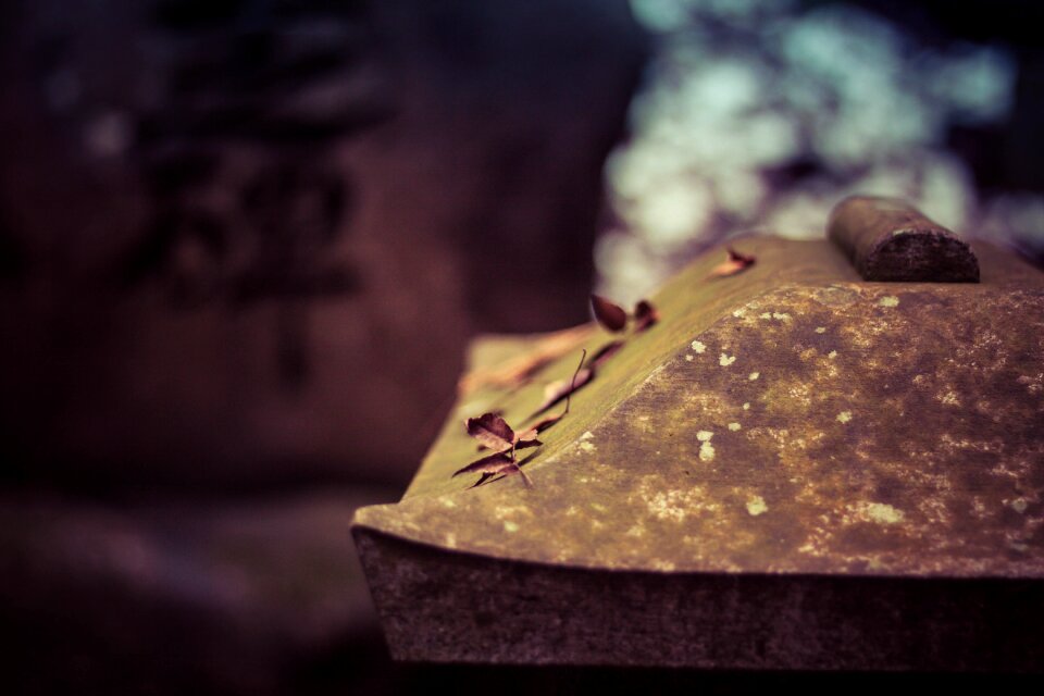 Natural japanese nature
