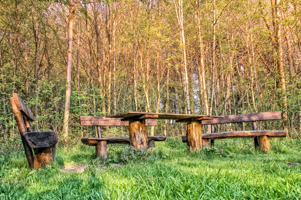 Woods bank seating arrangement