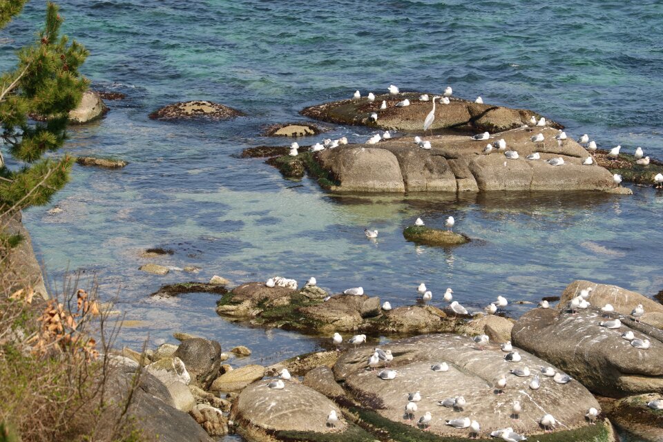 Sea coast nature