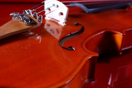Violin string music photo