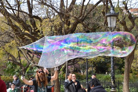 Park tree bubble