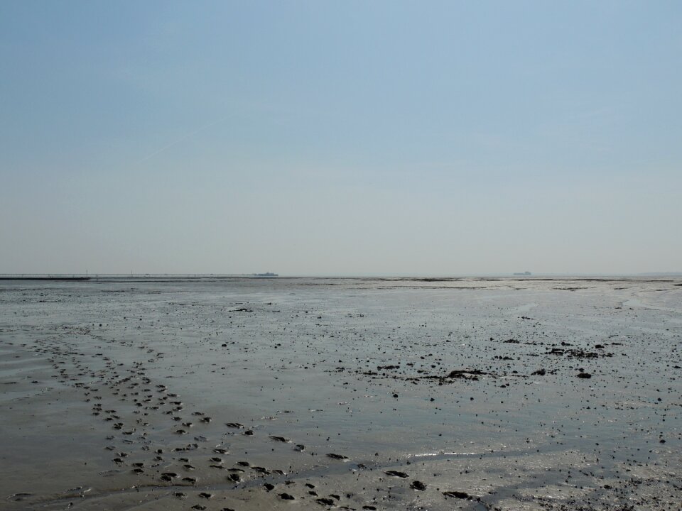 Beach outdoors sky photo