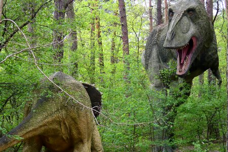 Wild animals park
