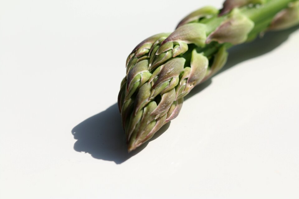 Vegetable macro food