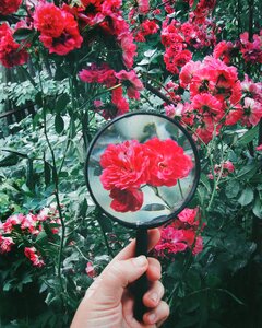 Garden creative nature
