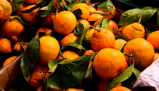 Confection healthy orange