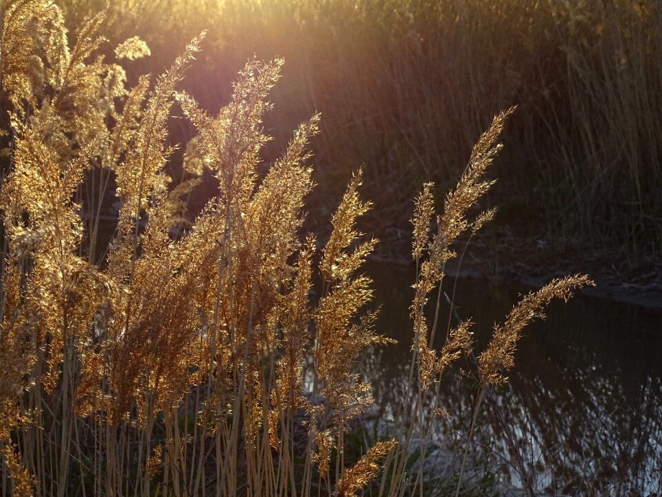 Landscape twilight light