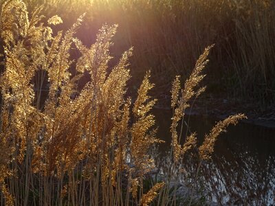 Landscape twilight light photo