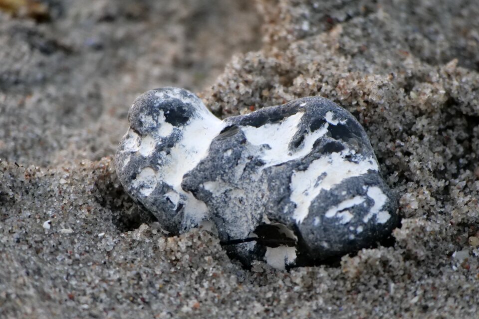Sand flint chicken god