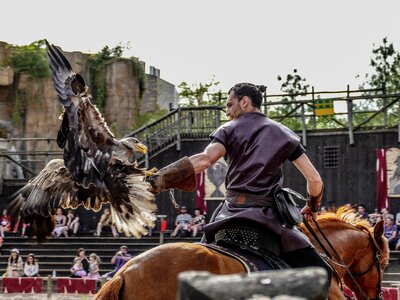 Equestrian adult