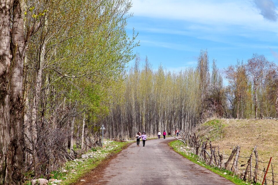 Road kurdish ning aspen