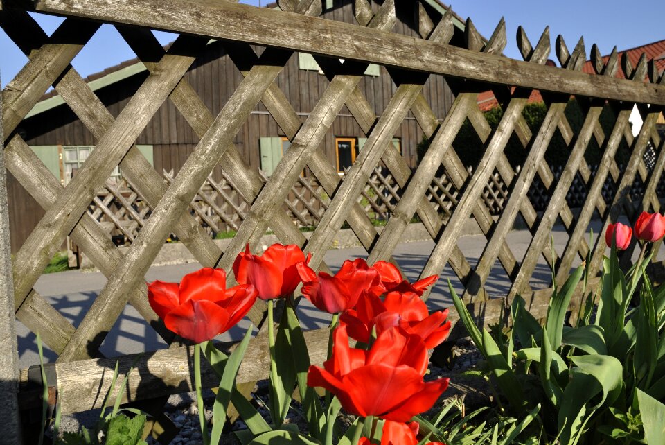 Garden summer ornament