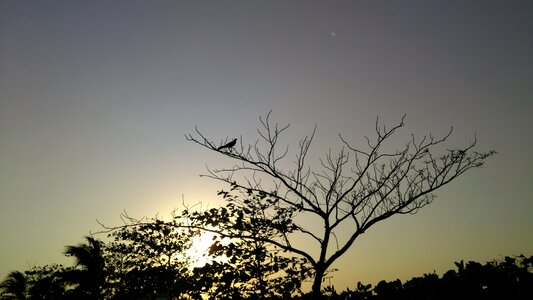 Landscape dawn
