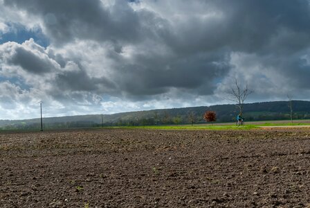 Nature prairie tree photo