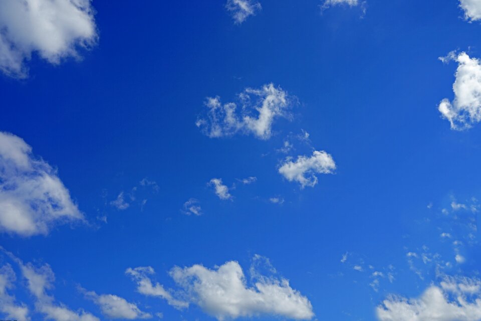 Season downy weather