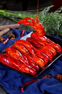 Crayfish shrimp inspector gadget Free photos