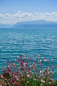 Sky landscape water