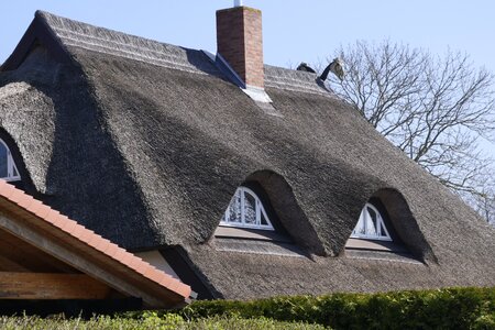 House architecture thatched cottage