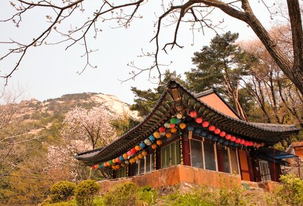 South korea korea