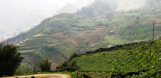 Panoramic mountain field photo