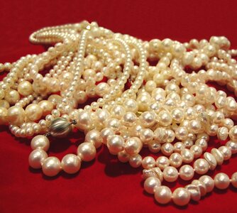 Beads bone accessories photo