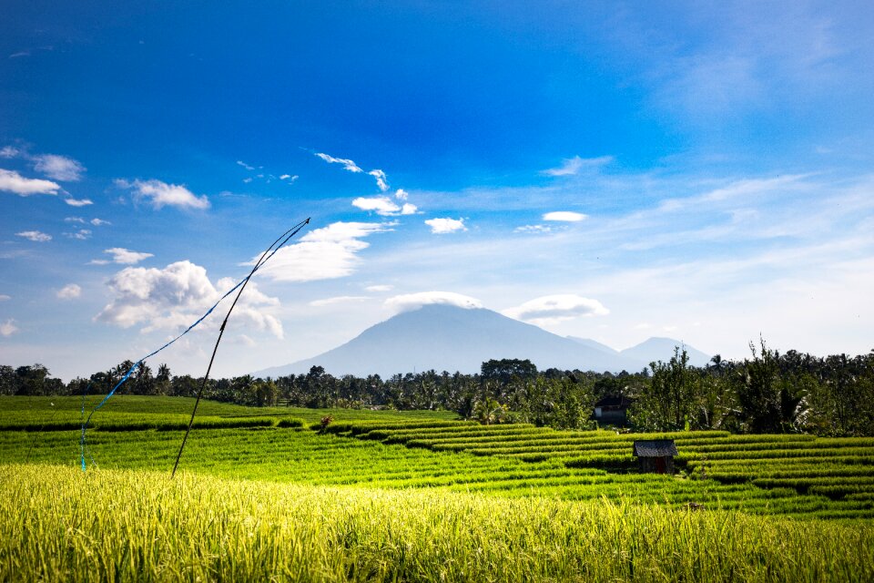 Sky agriculture bali