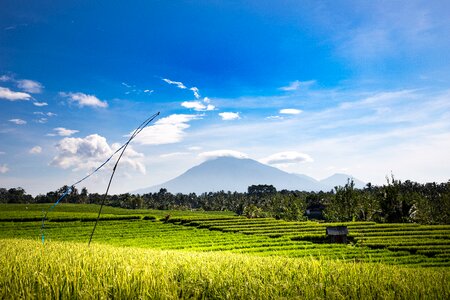 Sky agriculture bali photo