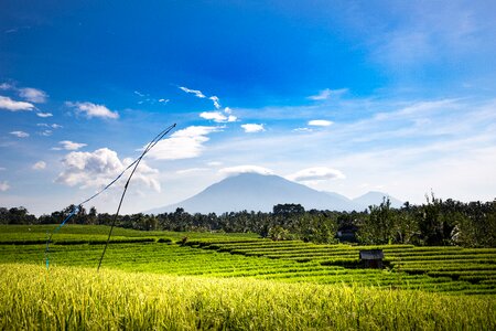 Sky agriculture bali