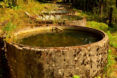 Water water tank water-plant photo