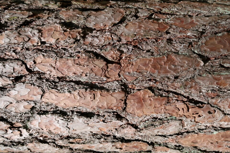 Nature texture tribe
