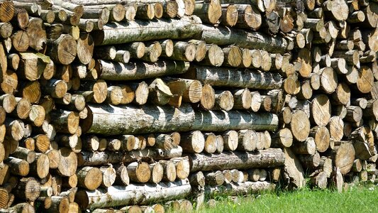 Wallpaper model wood heating