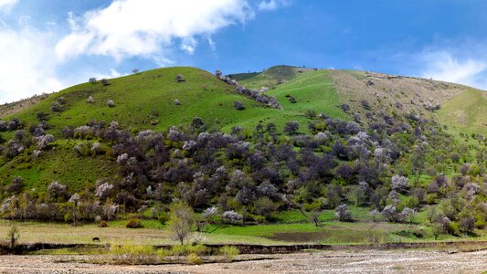 Hill sky kurdish ning photo