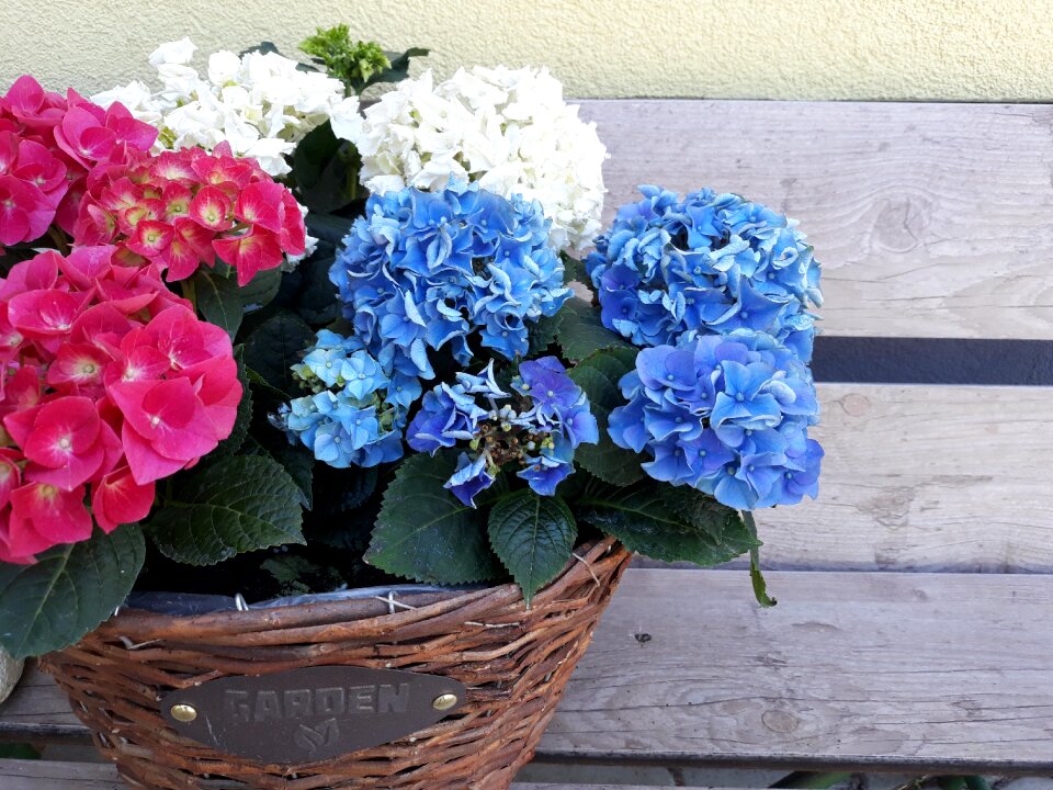 Floral leaf garden
