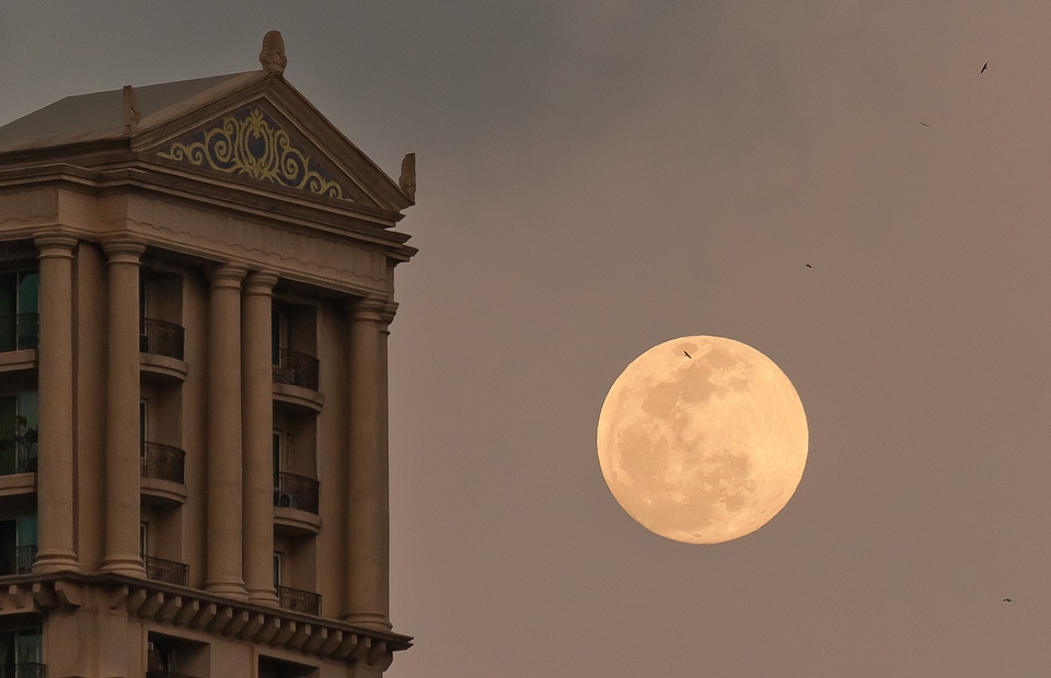 Nightsky architecture moonlight