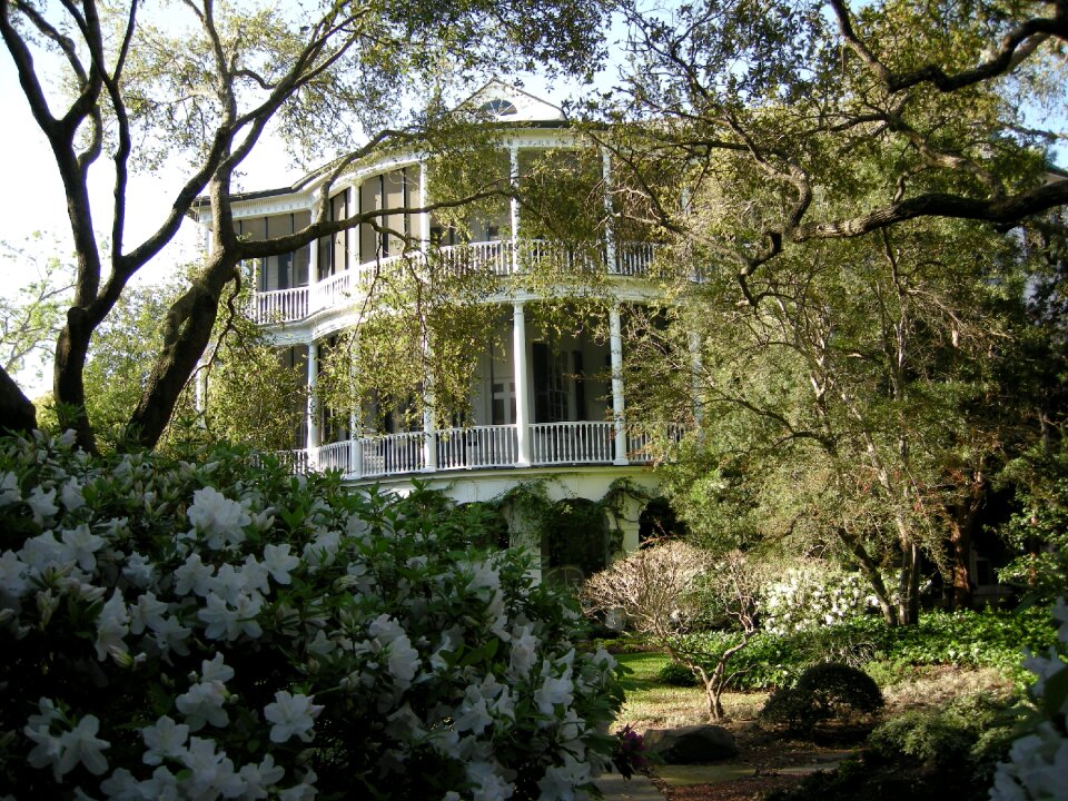 Outdoors nature plantation