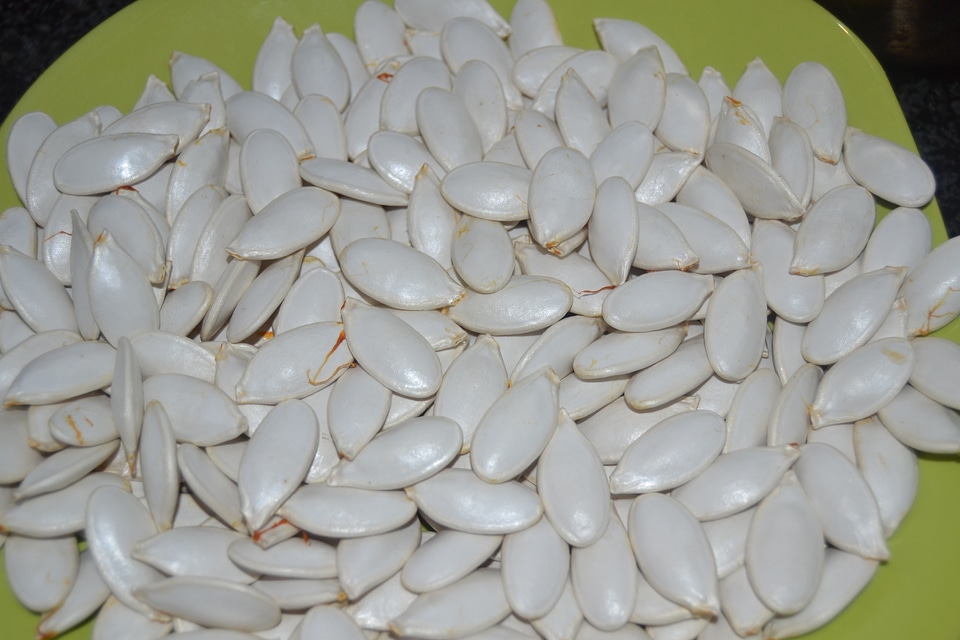 Pumpkin seeds medicinal