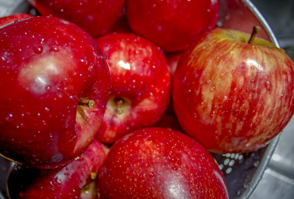 Food healthy luscious