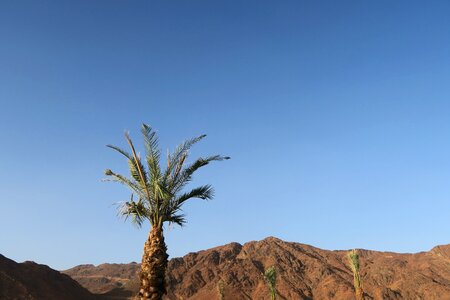 I've to medina nature desert