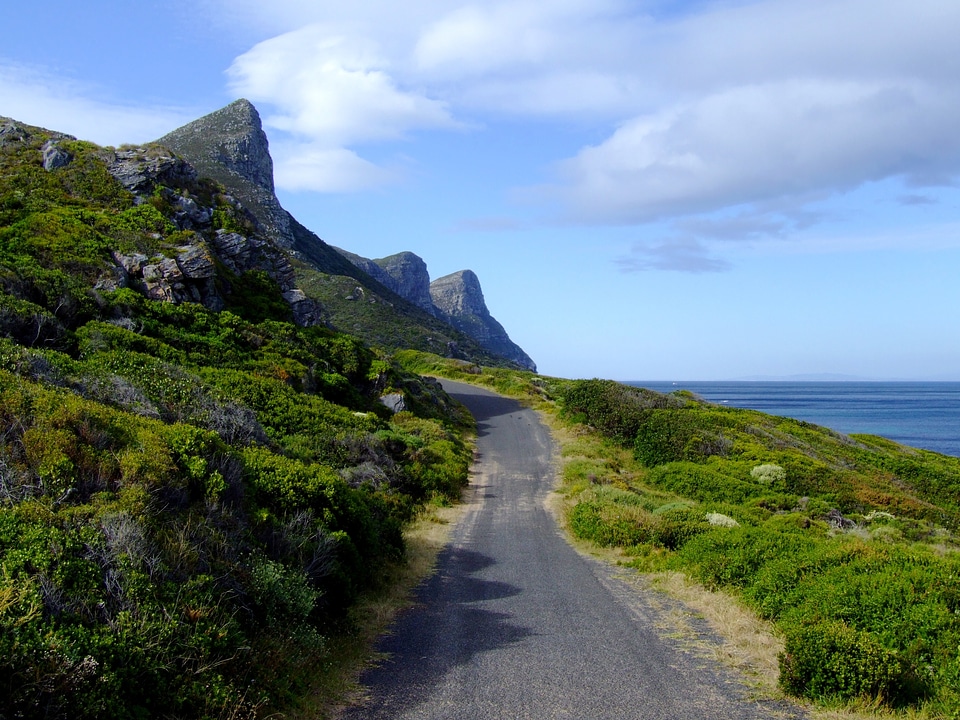 Falsebay garden route conservation park