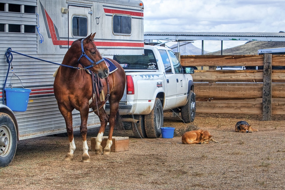 Truck western trailer