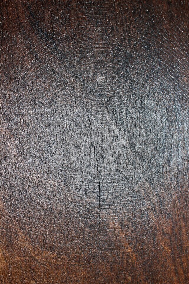 Wood cracked damaged