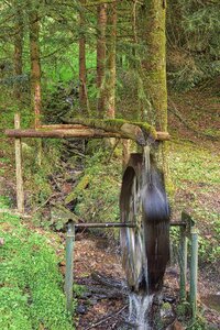 Wood nature landscape