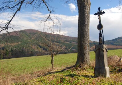 Early spring cross tree photo