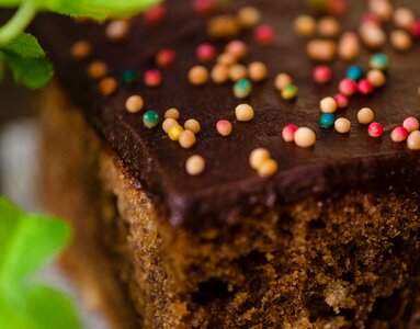 Chocolate cake brownie brownies photo